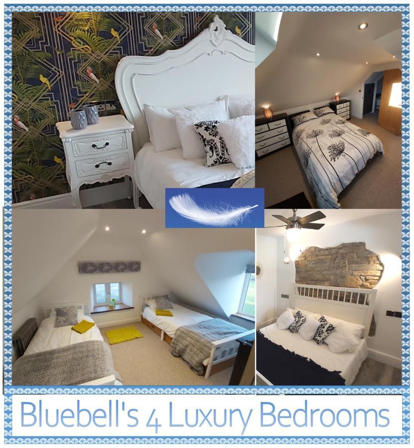 Bluebell House 5 Star Holiday Let Somerton (Somerset) Exterior foto